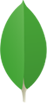 mongoDB